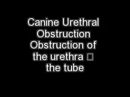 Canine Urethral Obstruction Obstruction of the urethra – the tube