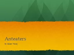 PPT-A nteaters thumbnail