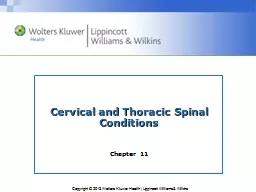 Cervical and Thoracic Spinal Conditions