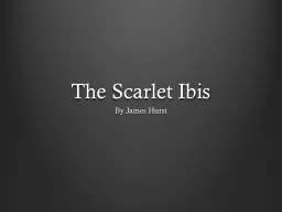 The Scarlet Ibis