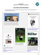 HZ LYLVLRQRILVKLOGOLIHDULQHHVRXUFHV New York State Black Bear Harvest Summary   HVXOWVUHSRUWHGLQWKLVGRFXPHQWZHUHIXQGHGEWKHHGHUDOLGLQLOGOLIH