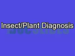 Insect/Plant Diagnosis