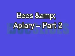 Bees & Apiary – Part 2