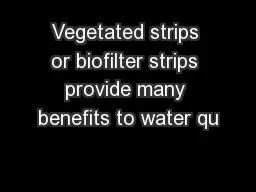 Vegetated strips or biofilter strips provide many benefits to water qu