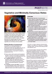 Minimally Conscious States