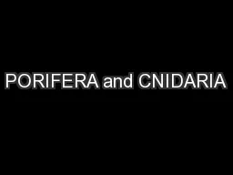 PORIFERA and CNIDARIA