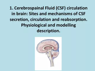 PDF-Cerebrospainal thumbnail