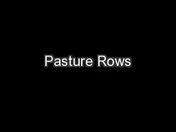 Pasture Rows
