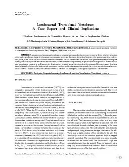 :1123-1125, 2011.Lumbosacral Transitional Vertebrae:A Case Report and