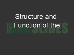 Structure and Function of the