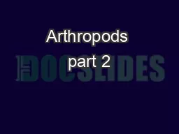 Arthropods part 2