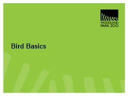 Bird Basics