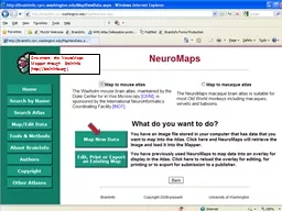 One enters the NeuroMaps Mapper through BrainInfo  (http