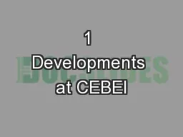 1 Developments at CEBEI