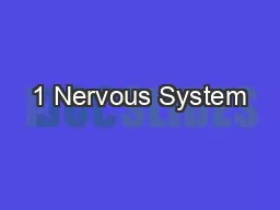 1 Nervous System
