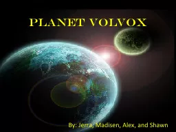 Planet Volvox