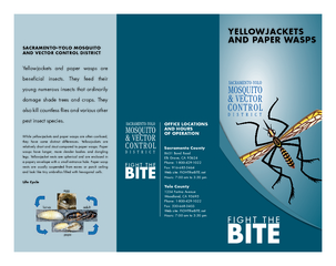While yellowjackets and paper wasps are often confused, they have some