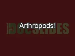 Arthropods!
