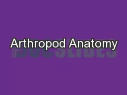 Arthropod Anatomy