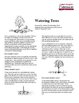 Prepared by: Patrick Weicherding, Ph.D. Trees constantly lose water to