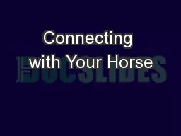Connecting with Your Horse