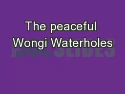 The peaceful Wongi Waterholes