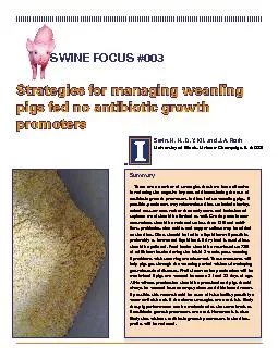 Strategies for managing weanling