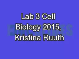 Lab 3 Cell Biology 2015, Kristina Ruuth
