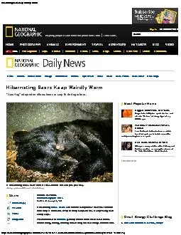 Hibernating Bears Keep Weirdly Warm��http://news.nationalgeographic.