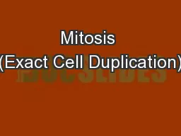 Mitosis (Exact Cell Duplication)