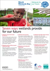 Seven ways wetlands provide for our future