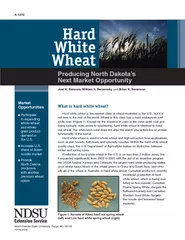 What is hard white wheat?