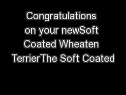 Congratulations on your newSoft Coated Wheaten TerrierThe Soft Coated