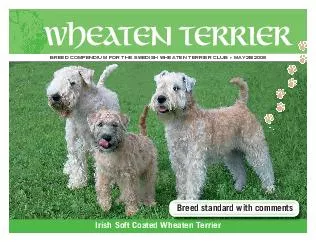 BREED COMPENDIUM FOR THE SWEDISH WHEATEN TERRIER CLUB