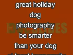 e secret to great holiday dog photography be smarter than your dog at least temporarily