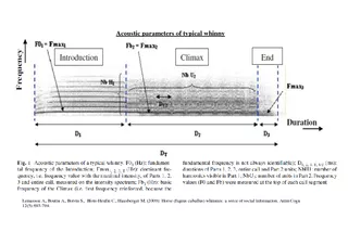 Acoustic parameters of typical whinny