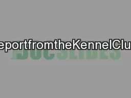 ReportfromtheKennelClub/