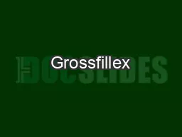Grossfillex