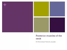 Posterior muscles of the neck