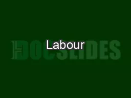 Labour’s Policy Review:Tackling Serious Fraud and White Collar Cr