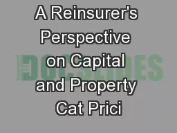 A Reinsurer's Perspective on Capital and Property Cat Prici
