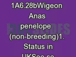 Page 1A6.28bWigeon Anas penelope  (non-breeding)1.  Status in UKSee se