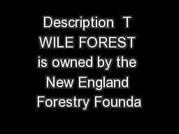 Description  T WILE FOREST is owned by the New England Forestry Founda
