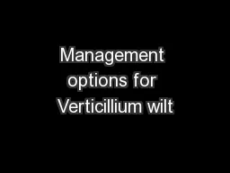 Management options for Verticillium wilt