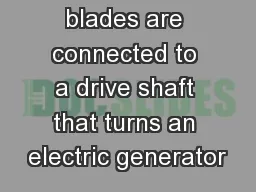 blades are connected to a drive shaft that turns an electric generator