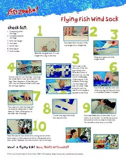Flying Fish Wind Sock