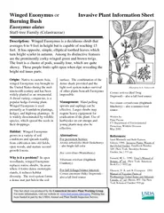Invasive Plant Information Sheet