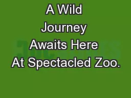 A Wild Journey Awaits Here At Spectacled Zoo.