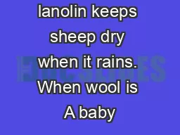 Wool wax or lanolin keeps sheep dry when it rains. When wool is A baby
