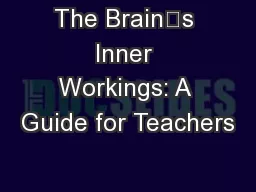 The Brains Inner Workings: A Guide for Teachers